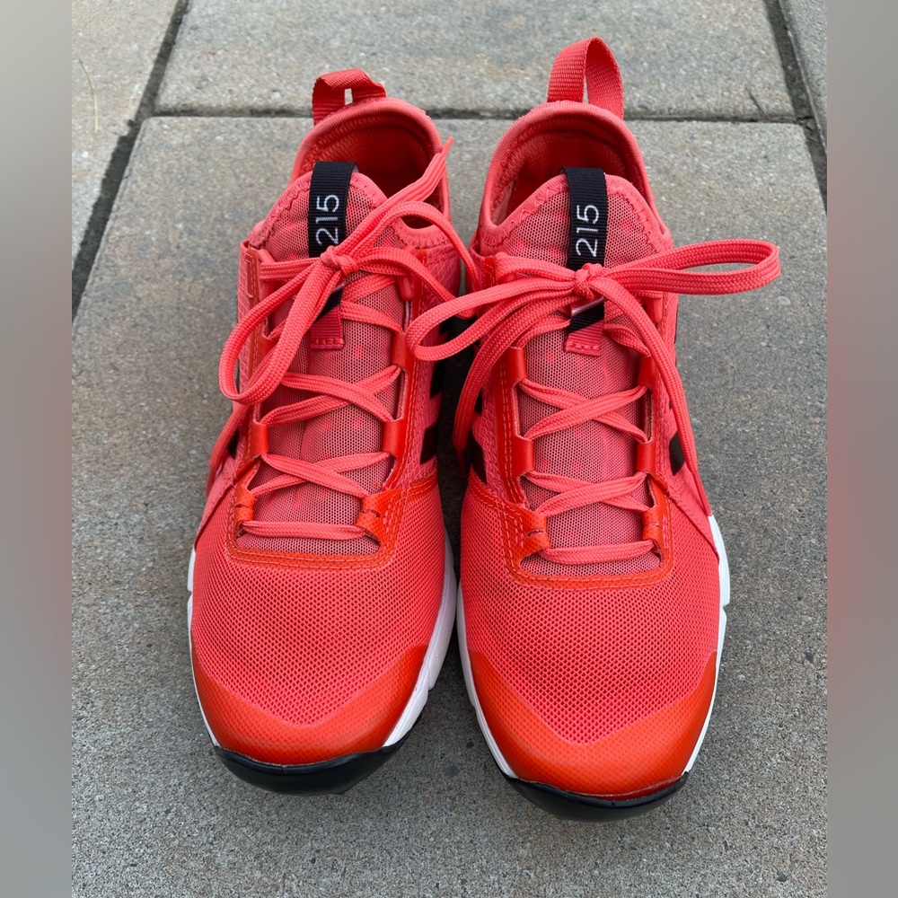Adidas Terrex hiking running shoe